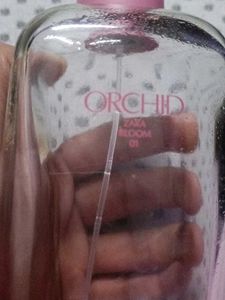 EMPTY BOTTLE - Zara Orchid Bloom 01