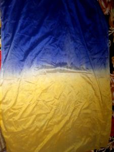 Elegant Dupatta