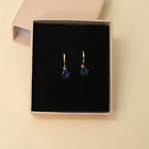 Elegant Blue Stone Drop Earrings