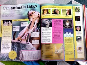 Ask Me Anything - DK Book Encyclopedia