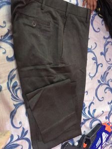 Olive Office Pant