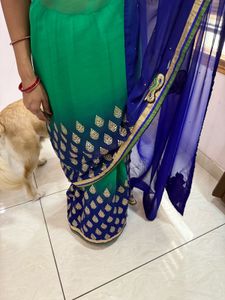 Elegant Green & Blue Embroidered Saree