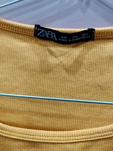 Mustard Crop Top - Trendy &amp; Stylish