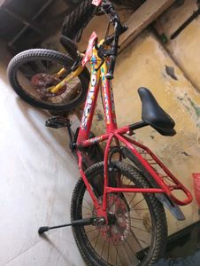 Kids Red Dinosaur Bicycle