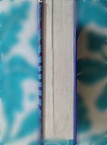 Bhargava's Standard Illustrated Dictionary