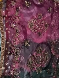 beautiful sequence work net dupatta