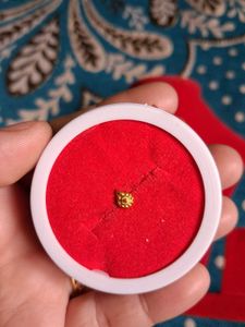 Exquisite Gold nosepin