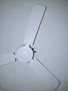 Angler Industries Ceiling Fan