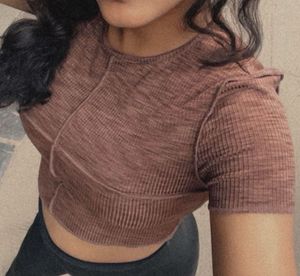 Brown Ribbed Cropped Top