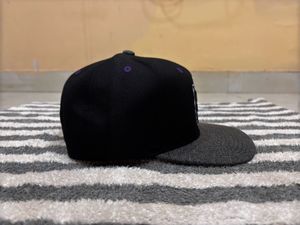 Zephyr Black Panther Unisex Baseball Cap