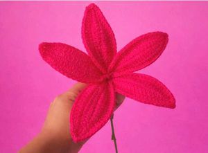 Crochet Lily