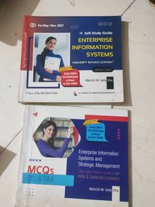 Enterprise Information Systems Books