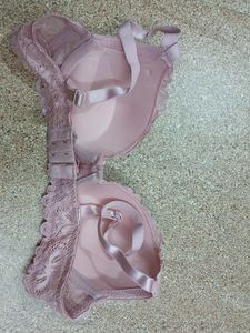 Imported Lace Embroidered Underwired Bra
