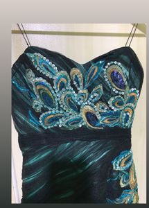 Peacock Inspired Embellished Gown
