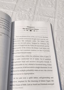 The Vishnu Paradox by Akriti Verma