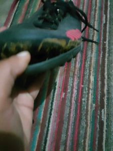 Adidas Sneakers