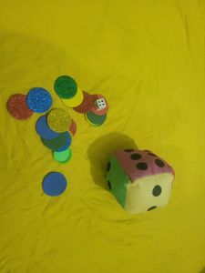 Dice and Tokens Game Set
