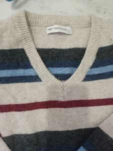Redtape stripe sweater for men
