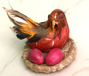 🐓🪺Home Decor Item