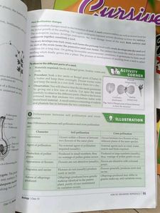 MTG Foundation Course Books - Class 10
