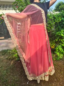 Beautiful Salmon Pink Net Skirt