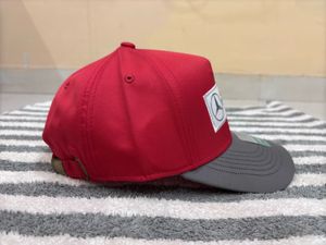 Mercedes-AMG Petronas X Puma Unisex Cap - Red