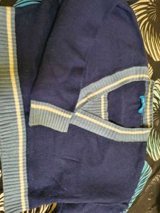 Navy Blue V-Neck Striped Sweater