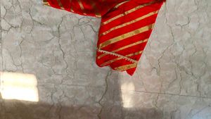 Red &amp; Gold Striped Blouse