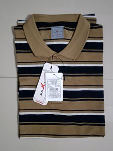 Collared Tshirt | Stripped Tshir