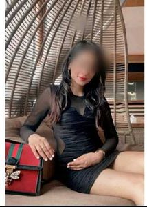 Chic Black Mesh Sheer Long Sleeve Dress
