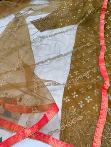 Designer organza pakistani suit
