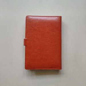 Classic Tan Leather Diary (Brand new)