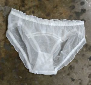 Sheer White Lace panty