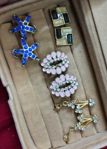 Assorted Pair of Earrings