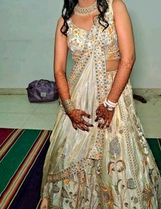 Designer Style New Lehenga Choli