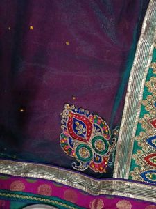 Half saree modeled sare