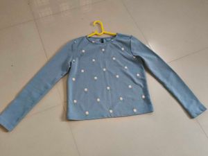 Cute Blue Embroidered Long Sleeve Top