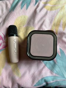 Portable Wireless Microphone and Speaker Set