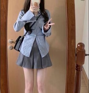 Imported Korean Grey Skirt