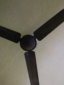 Ceiling Fan