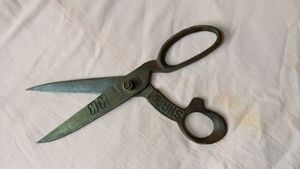 Scissor Now Not Working.