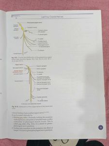 human Anatomy Workbook Volumes 5 &amp; 6