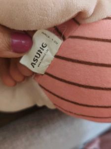 Electronic Winnie the pooh and plush piglet
