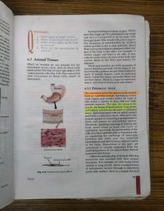 Science NCERT Textbook for Class IX (Old Edition)
