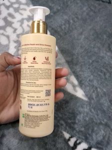 Boericke &amp; Tafel Repair Shampoo