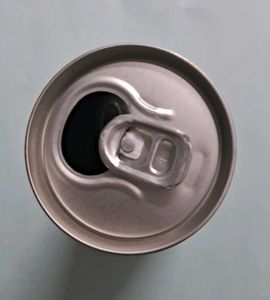 Coca Cola Coke Studio Bharat Can