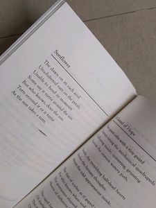 Poetry Book: Words About To Fall By Sanjay Parva