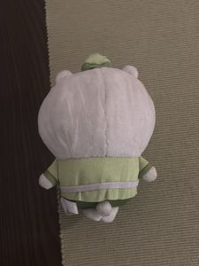 rare chiikawa plushie