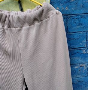 Plazo Pant