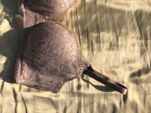 Lace Padded Bra